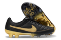 Tiempo Legend R10